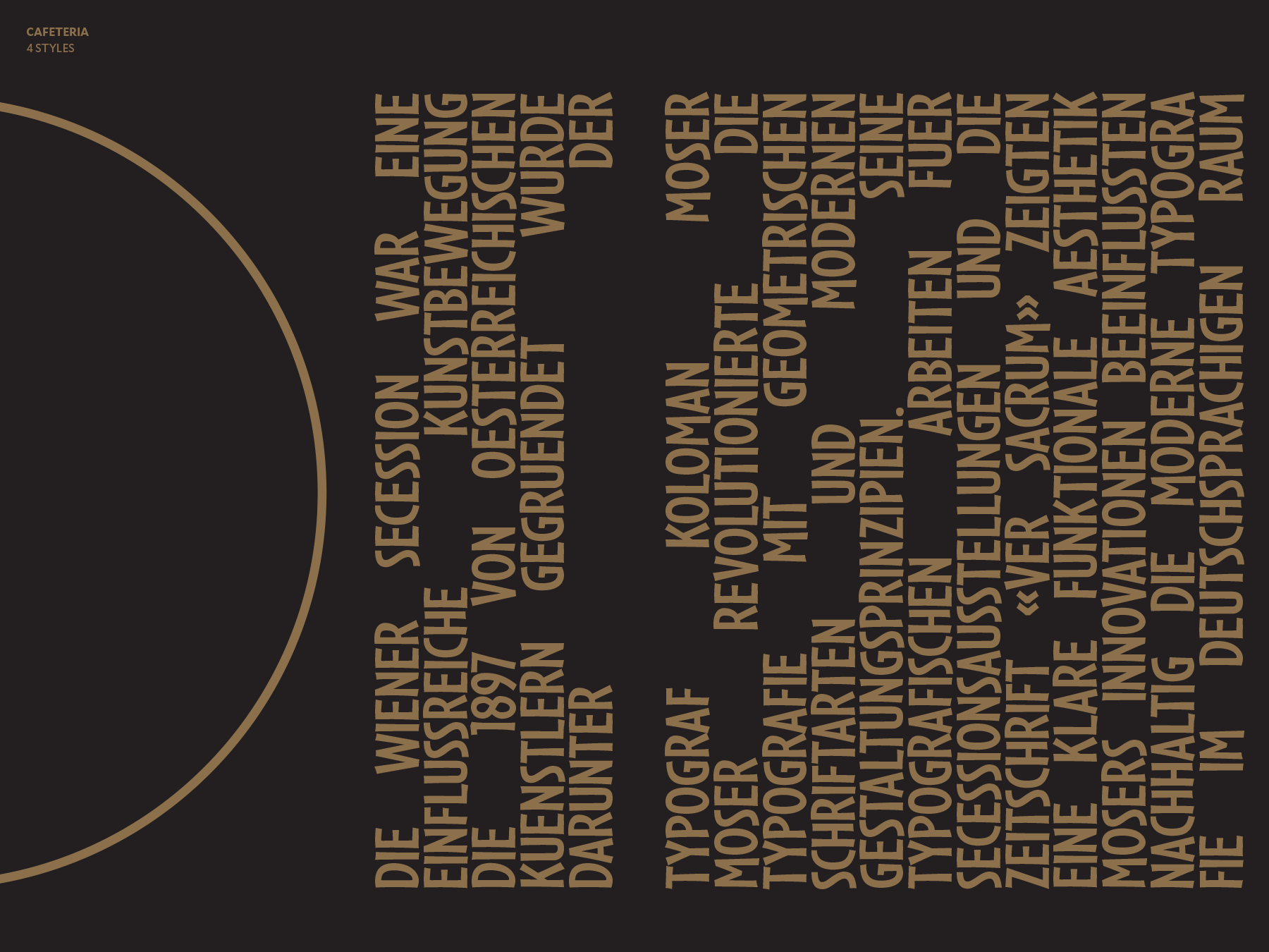 Alt text description