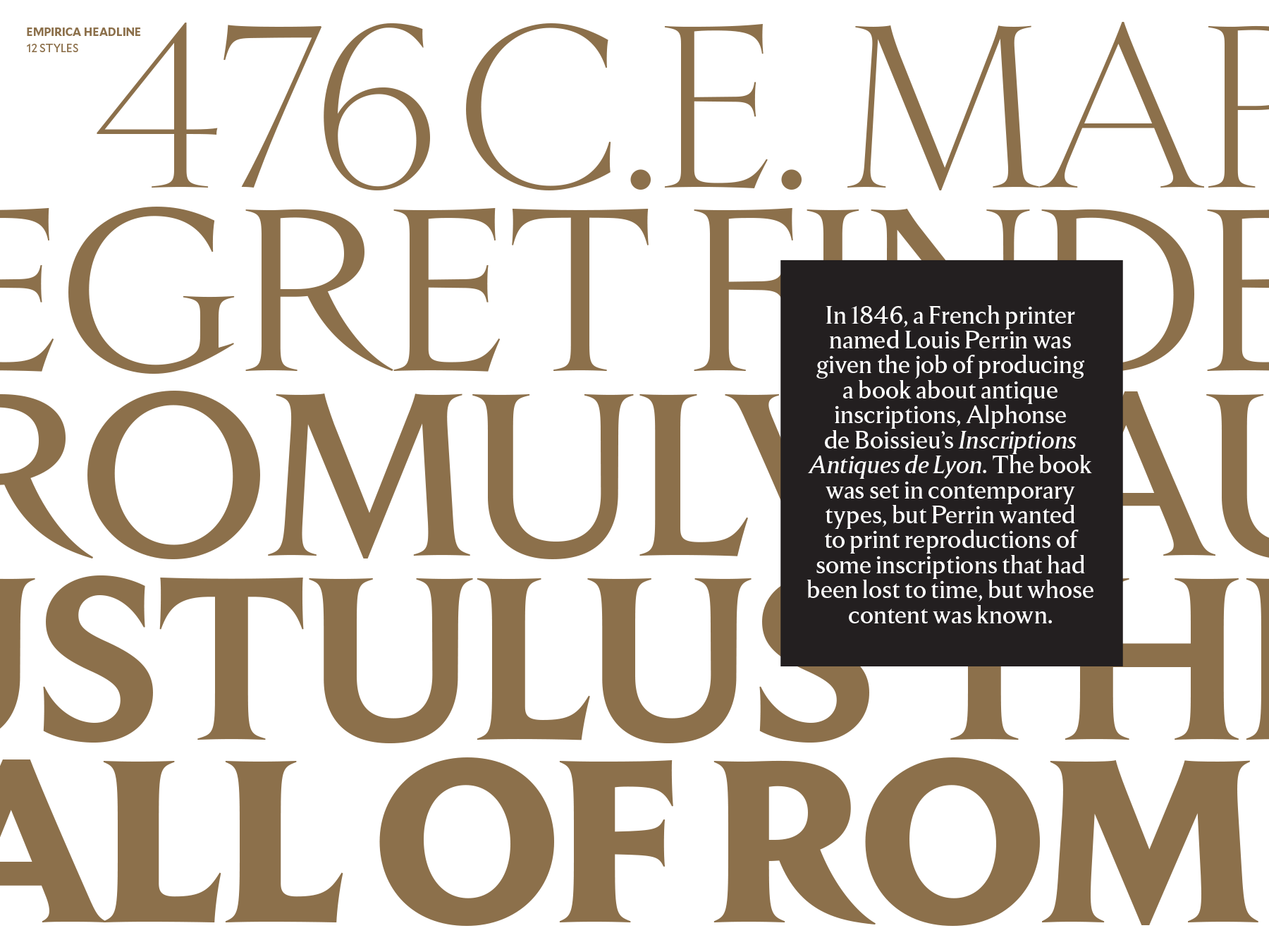 Alt text description